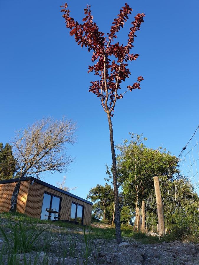 Casa D' Alem Turismo E Natureza - Refugio Do Valouto Torneiro Bagian luar foto