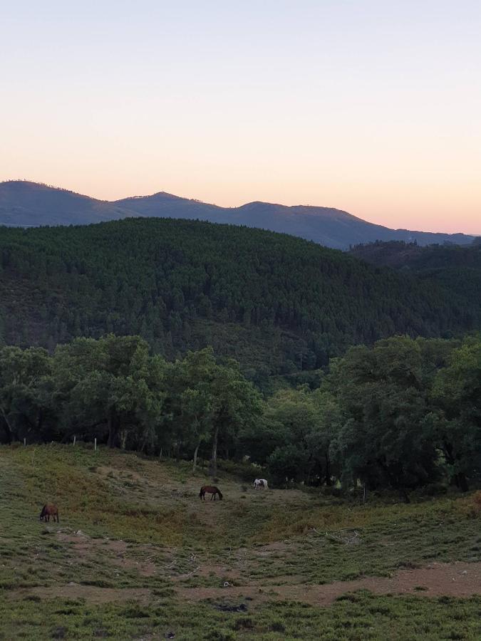 Casa D' Alem Turismo E Natureza - Refugio Do Valouto Torneiro Bagian luar foto